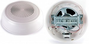 WP-10T Громкоговоритель настенный в Советской Гавани