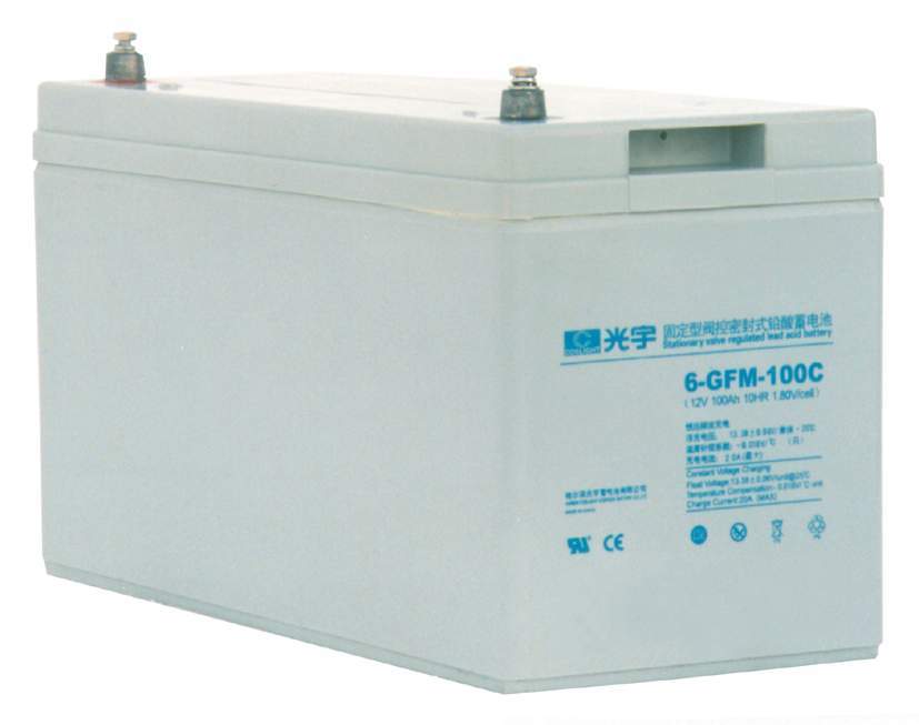 Аккумулятор Coslight 6-GFM-100C 12V (С) в Советской Гавани